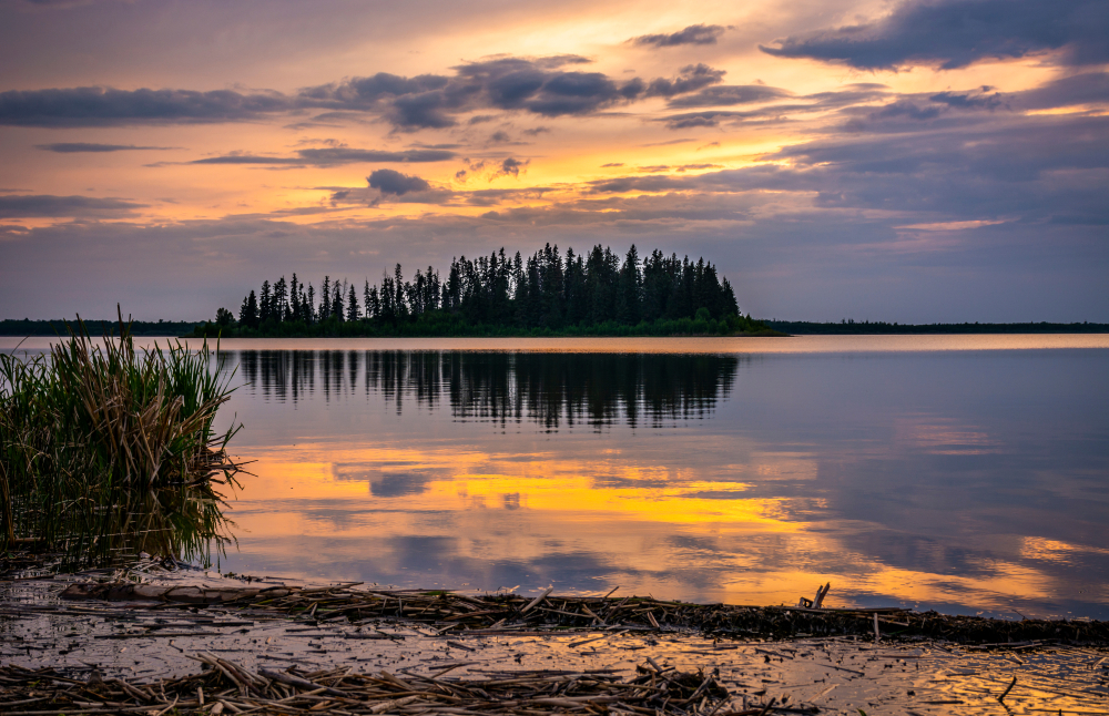 Elk Island National Park Official Ganp Park Page